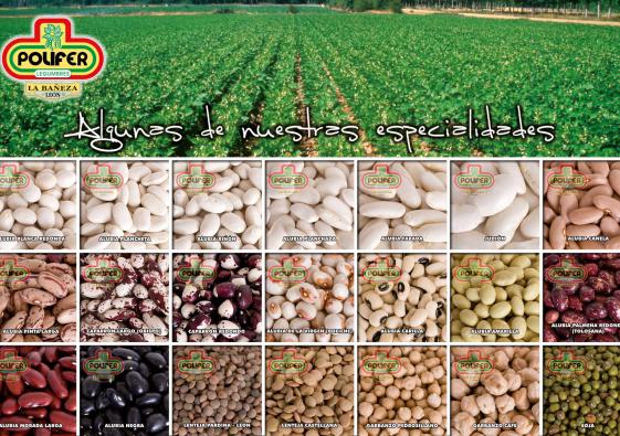 LEGUMBRES Y ESPECIAS
